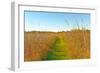 Quiet Path in to the Prairie-wildnerdpix-Framed Photographic Print