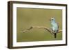 Quiet Pause - Still-Staffan Widstrand-Framed Giclee Print