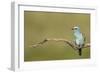 Quiet Pause - Still-Staffan Widstrand-Framed Giclee Print