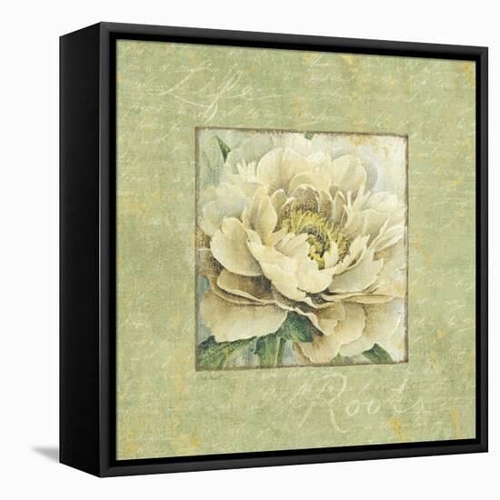 Quiet Petals I-Lisa Audit-Framed Stretched Canvas