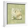 Quiet Petals II-Lisa Audit-Framed Giclee Print