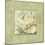 Quiet Petals II-Lisa Audit-Mounted Giclee Print