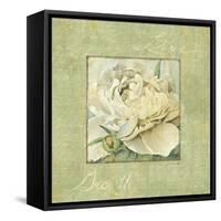 Quiet Petals II-Lisa Audit-Framed Stretched Canvas