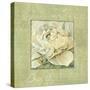 Quiet Petals II-Lisa Audit-Stretched Canvas