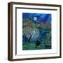 Quiet Reflections, 2012-Lisa Graa Jensen-Framed Giclee Print