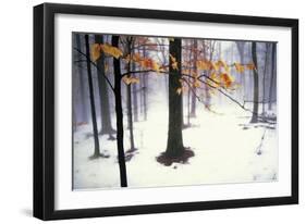 Quiet Woods-David Winston-Framed Giclee Print