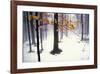 Quiet Woods-David Winston-Framed Giclee Print