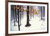 Quiet Woods-David Winston-Framed Giclee Print