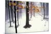 Quiet Woods-David Winston-Mounted Giclee Print