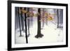 Quiet Woods-David Winston-Framed Giclee Print