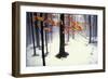 Quiet Woods-David Winston-Framed Art Print