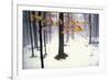 Quiet Woods-David Lorenz Winston-Framed Art Print