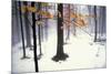 Quiet Woods-David Lorenz Winston-Mounted Art Print