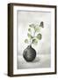 Quiet Zen II-Eva Watts-Framed Art Print