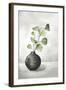 Quiet Zen II-Eva Watts-Framed Art Print