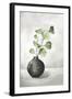 Quiet Zen II-Eva Watts-Framed Art Print