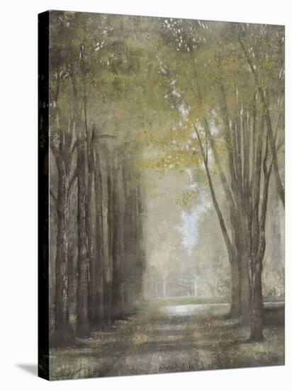 Quietly in the Mist-Williams-Stretched Canvas