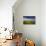 Quietude-Philippe Sainte-Laudy-Photographic Print displayed on a wall