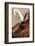 Quill pens ready for use, Santa Fe, New Mexico, Usa.-Julien McRoberts-Framed Photographic Print