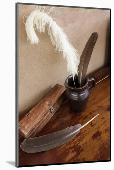 Quill pens ready for use, Santa Fe, New Mexico, Usa.-Julien McRoberts-Mounted Photographic Print