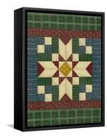 Quilt Square 1-Debbie McMaster-Framed Stretched Canvas