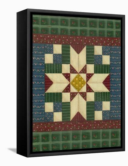 Quilt Square 1-Debbie McMaster-Framed Stretched Canvas