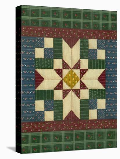 Quilt Square 1-Debbie McMaster-Stretched Canvas