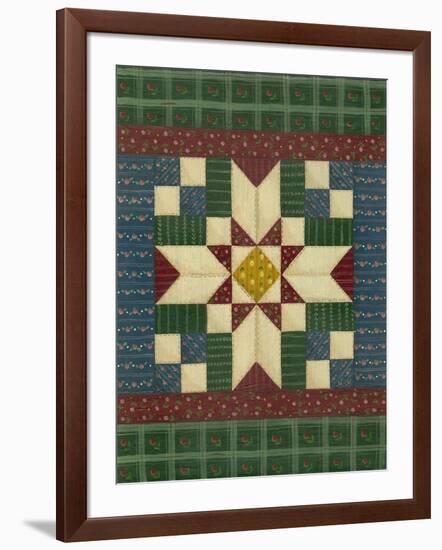 Quilt Square 1-Debbie McMaster-Framed Giclee Print