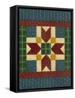 Quilt Square 2-Debbie McMaster-Framed Stretched Canvas