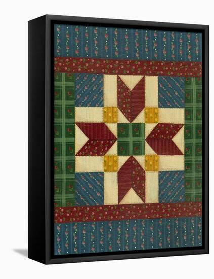 Quilt Square 2-Debbie McMaster-Framed Stretched Canvas