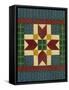 Quilt Square 2-Debbie McMaster-Framed Stretched Canvas