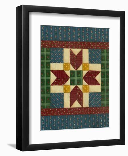 Quilt Square 2-Debbie McMaster-Framed Premium Giclee Print