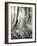 Quimia-Craig Satterlee-Framed Photographic Print