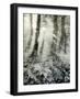 Quimia-Craig Satterlee-Framed Photographic Print