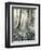 Quimia-Craig Satterlee-Framed Photographic Print