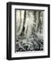 Quimia-Craig Satterlee-Framed Photographic Print