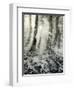 Quimia-Craig Satterlee-Framed Photographic Print