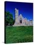Quin Abbey Franciscan 15th Century Friary, County Clare, Ireland-Gareth McCormack-Stretched Canvas