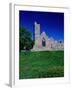 Quin Abbey Franciscan 15th Century Friary, County Clare, Ireland-Gareth McCormack-Framed Photographic Print