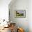 Quinault Adirondacks-Kathy Mahan-Framed Photographic Print displayed on a wall