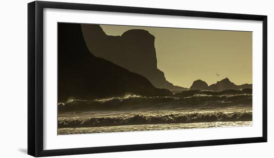 Quinault, Washington-Art Wolfe-Framed Photographic Print