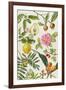 Quince and Other Fruit-Bearing Trees-Elizabeth Rice-Framed Giclee Print