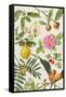 Quince and Other Fruit-Bearing Trees-Elizabeth Rice-Framed Stretched Canvas