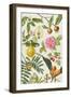 Quince and Other Fruit-Bearing Trees-Elizabeth Rice-Framed Premium Giclee Print