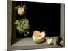 Quince, Cabbage, Melon, and Cucumber, C.1602-Juan Sanchez Cotan-Mounted Giclee Print