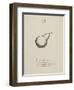 Quince Illustrations and Verses From Nonsense Alphabets Drawn and Written by Edward Lear.-Edward Lear-Framed Giclee Print