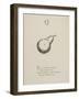 Quince Illustrations and Verses From Nonsense Alphabets Drawn and Written by Edward Lear.-Edward Lear-Framed Giclee Print