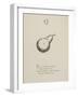 Quince Illustrations and Verses From Nonsense Alphabets Drawn and Written by Edward Lear.-Edward Lear-Framed Giclee Print