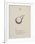 Quince Illustrations and Verses From Nonsense Alphabets Drawn and Written by Edward Lear.-Edward Lear-Framed Giclee Print