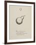 Quince Illustrations and Verses From Nonsense Alphabets Drawn and Written by Edward Lear.-Edward Lear-Framed Giclee Print